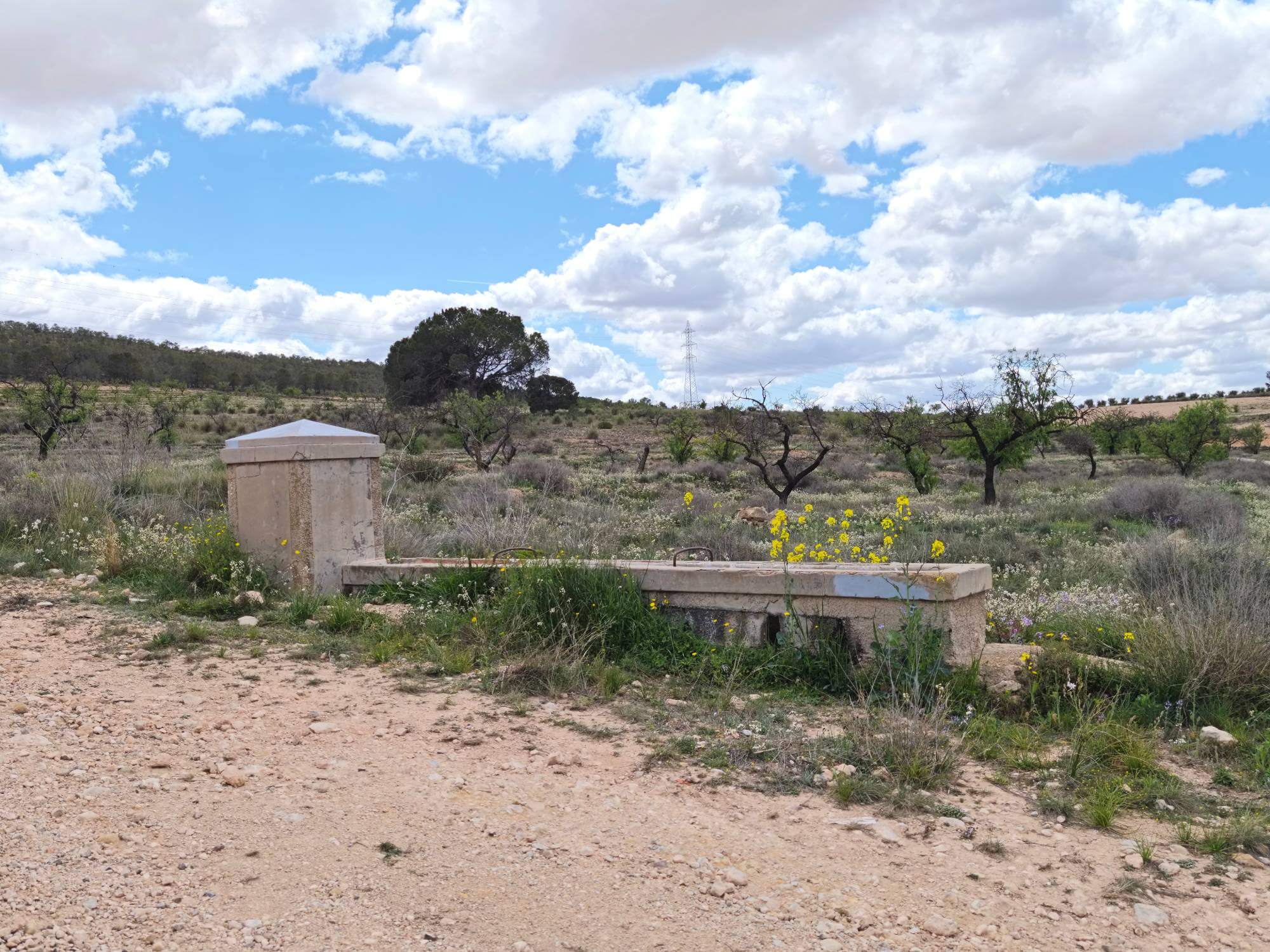 Fuente de agua para el ganado